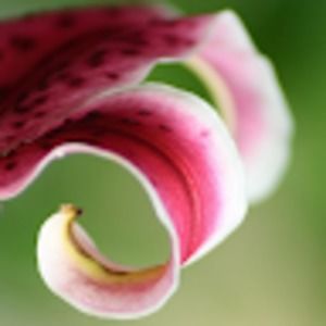 Meet your Posher, Briana